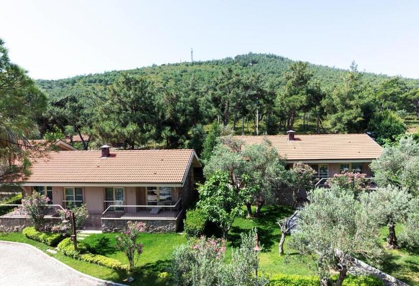 스탠다드 방갈로 정원 전망, D Resort Ayvalık