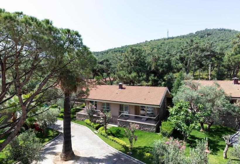 수피리어 전망 룸, D Resort Ayvalık