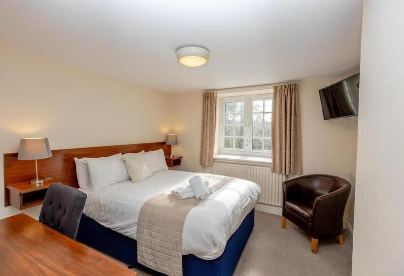 חדר אקונומי, The Angel