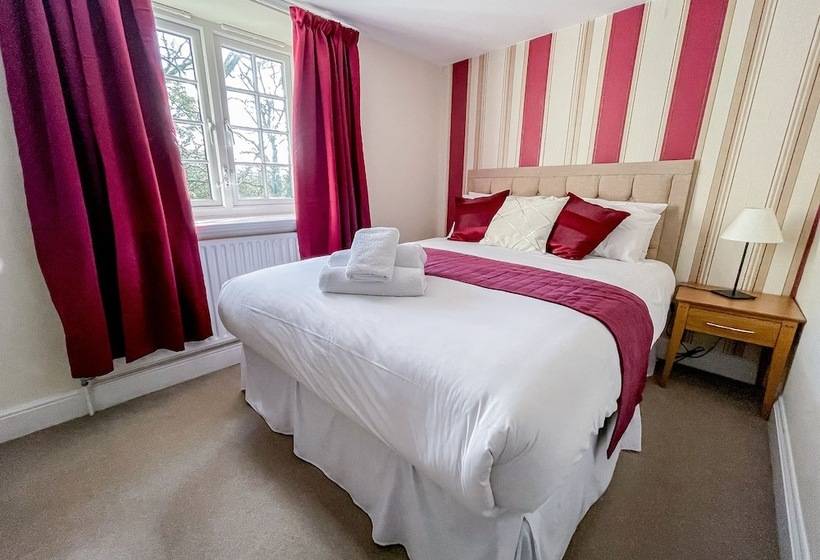 スタンダードシングルルーム, The Angel