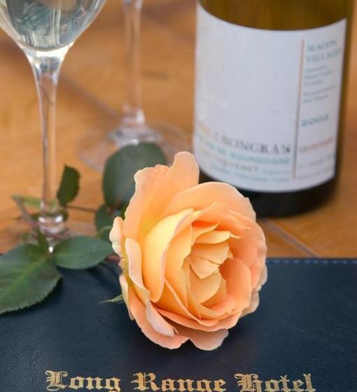 חדר סופריור נוף לגינה, The Long Range