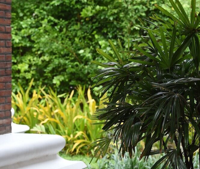 اتاق استاندارد, Zfreeti