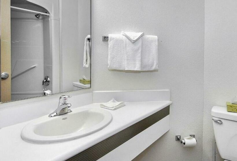 Standaard Vierpersoonskamer, Motel 6peterborough, On