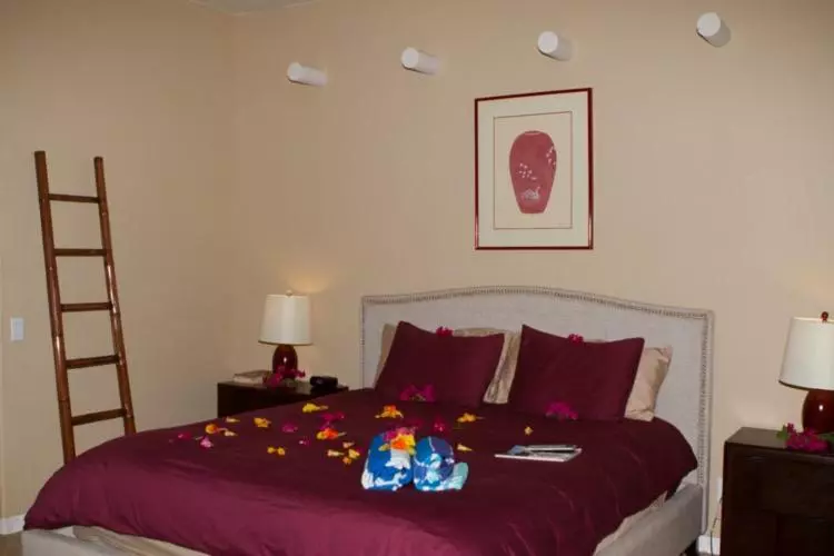 デラックスルーム, Sea Mountain Nude Resort & Spa Hotel   Adults Only