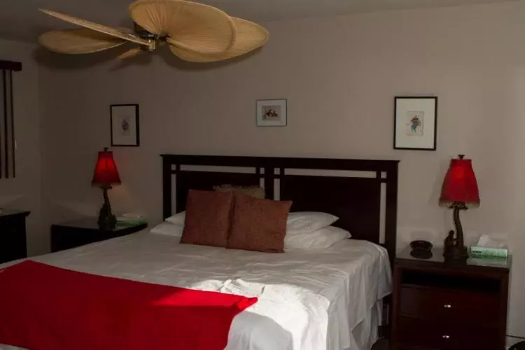 キングサイズベッドのデラックスルーム, Sea Mountain Nude Resort & Spa Hotel   Adults Only