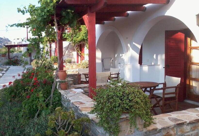 Standard Studio, Acti Plaka