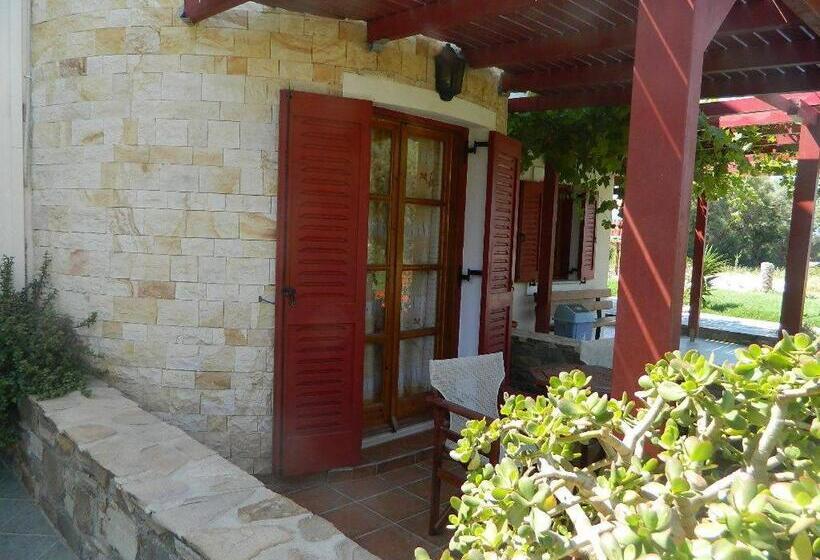 Standard Studio, Acti Plaka