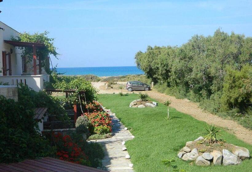 Standard Studio, Acti Plaka