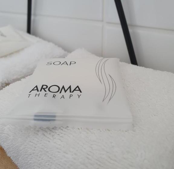 חדר אקונומי יחיד, Ardeanal Motel