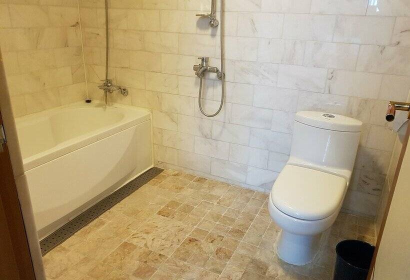 غرفة قياسية, Diamond Hotel Busan