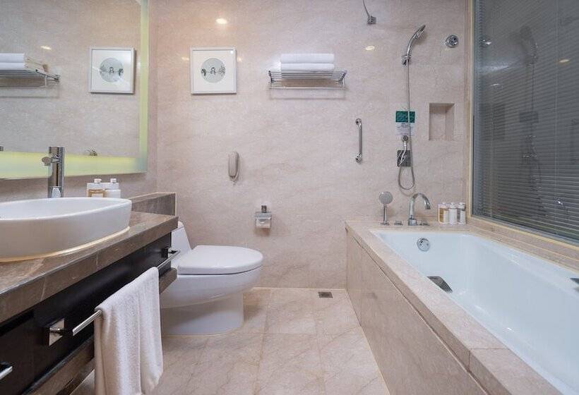 اتاق استاندارد با چشمانداز رودخانه, Holiday Inn Nanchang Riverside By Ihg