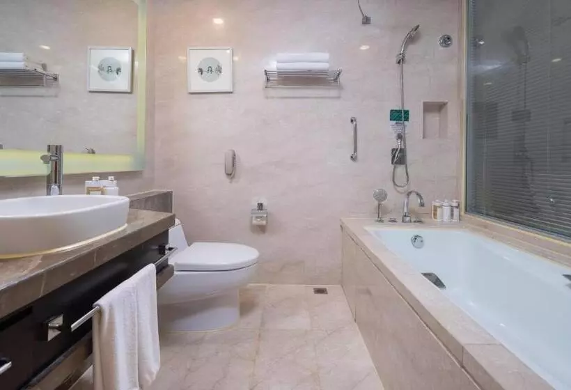 キングサイズベッドのスタンダードルーム, Holiday Inn Nanchang Riverside By Ihg