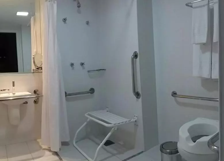 身障者適用スタンダードルーム, Intercity Brasilia Led Aguas Claras