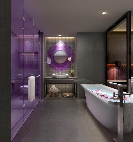 اتاق لوکس با تخت بزرگ, Pullman Nanjing Lukou Airport