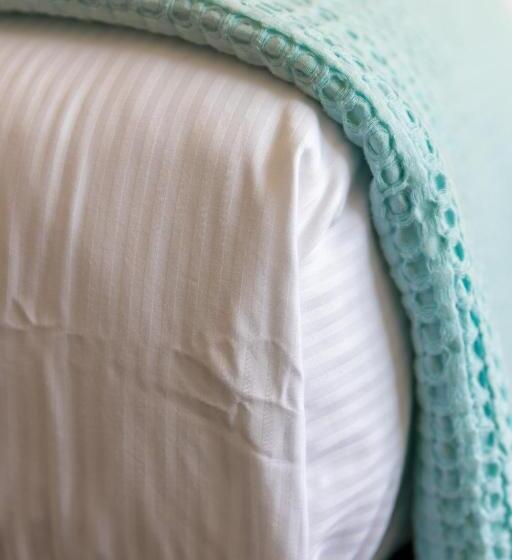 جناح رئاسى غرفتين نوم, Century Park