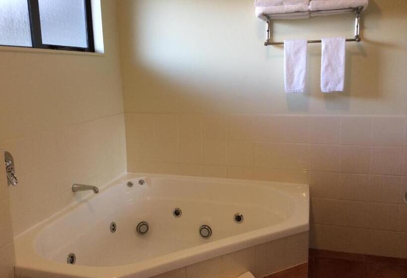 חדר סטודיו סטנדרד, Chancellor Motor Lodge And Conference Centre