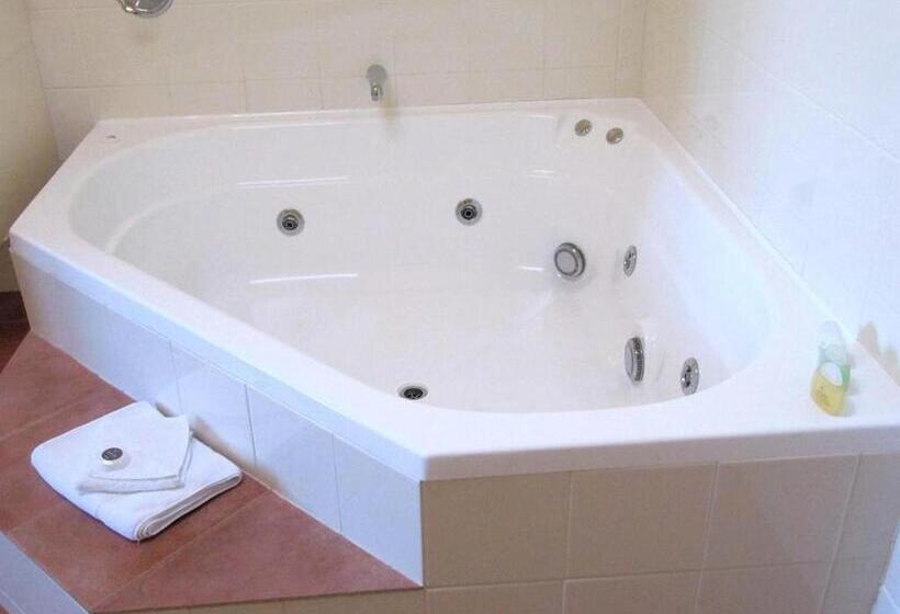 חדר סטודיו סטנדרד, Chancellor Motor Lodge And Conference Centre