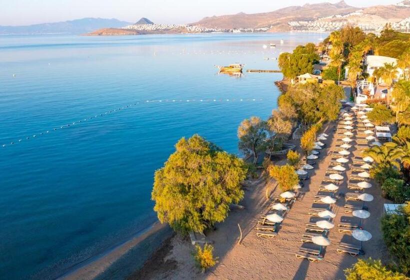 شقة غرفة واحدة مطلة على حمام السباحة, Muskebi Apart Otel