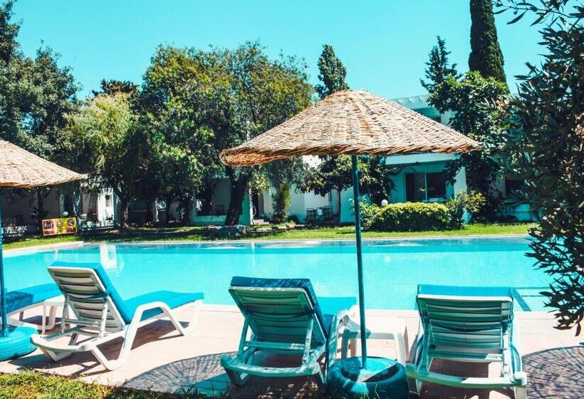 شقة غرفة واحدة مطلة على حمام السباحة, Muskebi Apart Otel