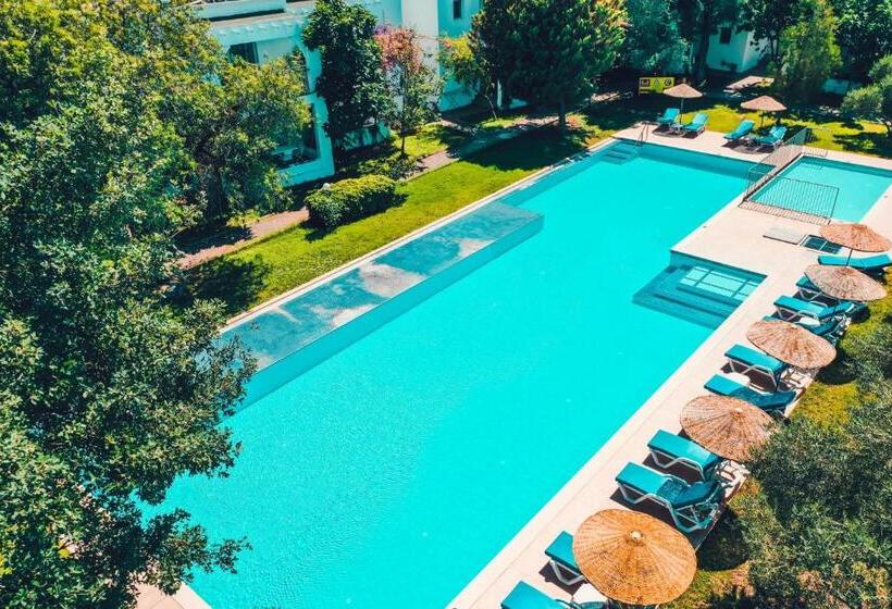 شقة غرفة واحدة مطلة على حمام السباحة, Muskebi Apart Otel