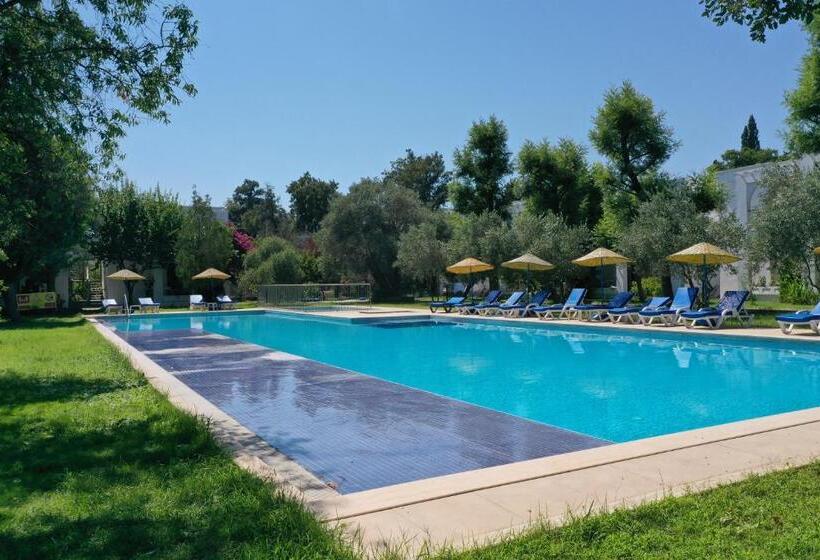 شقة غرفة واحدة مطلة على حمام السباحة, Muskebi Apart Otel