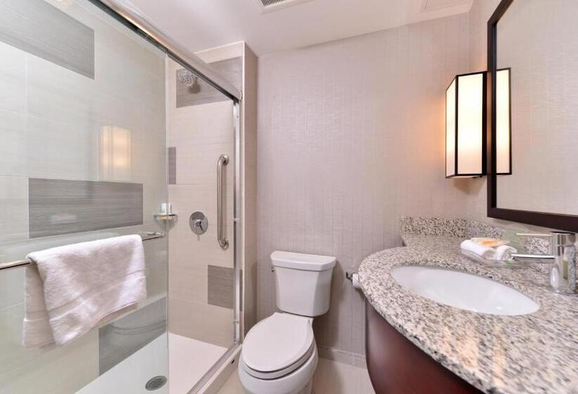 اتاق استاندارد با 2 تخت دوبل, Holiday Inn New York City   Times Square, An Ihg