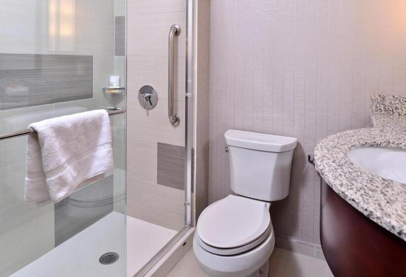 اتاق استاندارد با 2 تخت دوبل, Holiday Inn New York City   Times Square, An Ihg