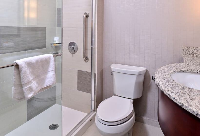 اتاق استاندارد با 2 تخت دوبل, Holiday Inn New York City   Times Square, An Ihg