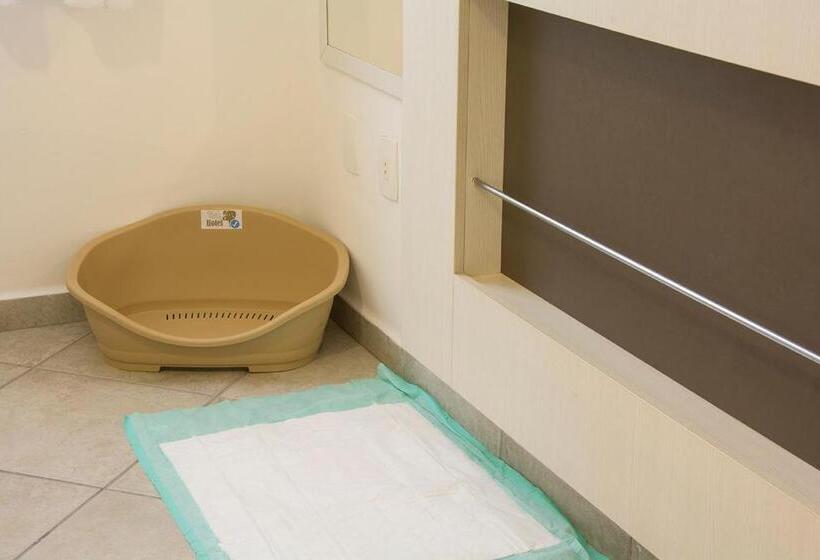 スタンダードルーム, Ilhas Da Grecia