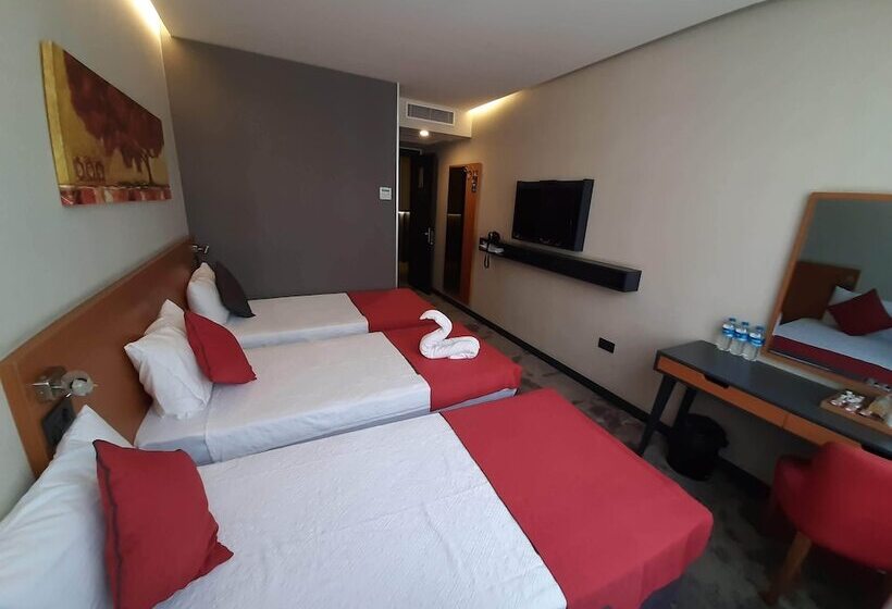 اتاق استاندارد سه نفره, Sapko Airport