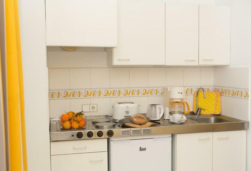 استودیوی استاندارد, Gavimar Ariel Chico Hotel And Apartments