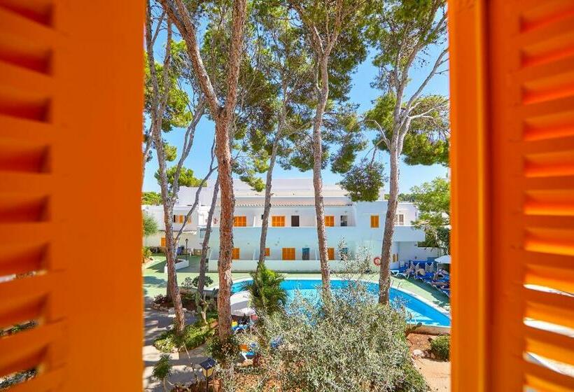 استودیوی استاندارد, Gavimar Ariel Chico Hotel And Apartments