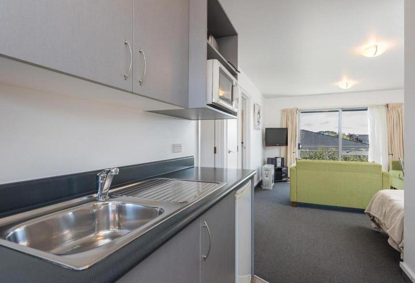 דירת שני חדרים, Greens Motel