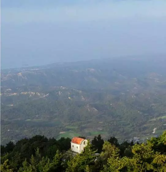 اتاق استاندارد, Elafos