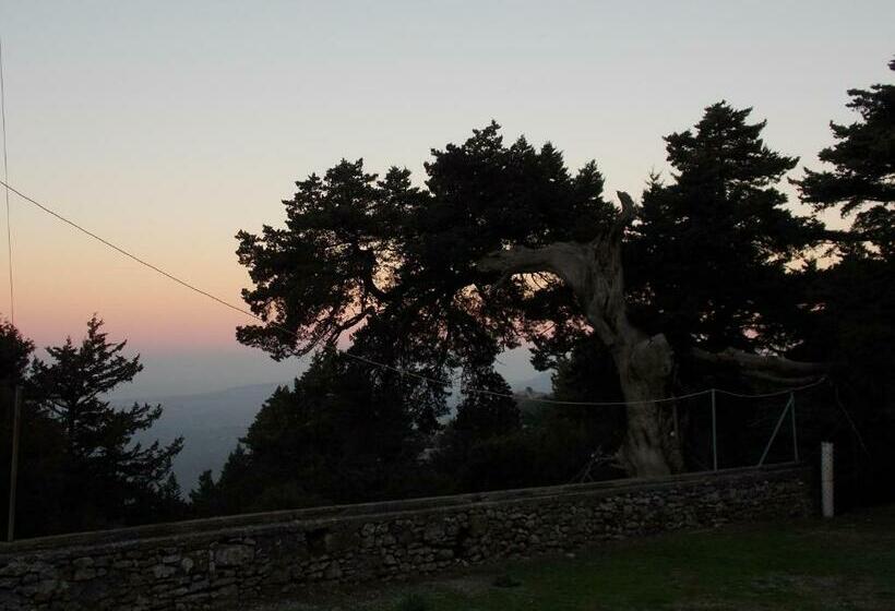 חדר סטנדרט, Elafos