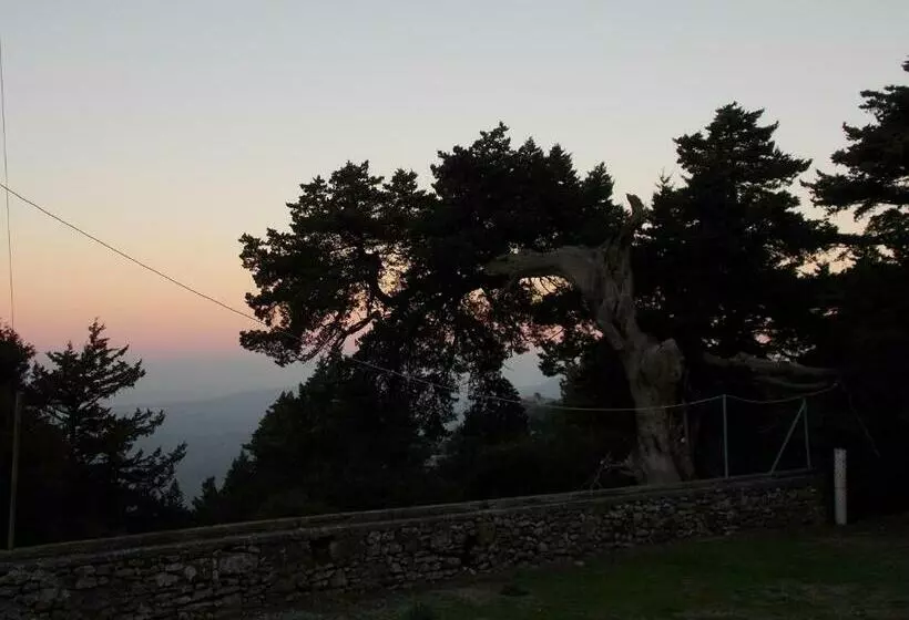 اتاق استاندارد, Elafos