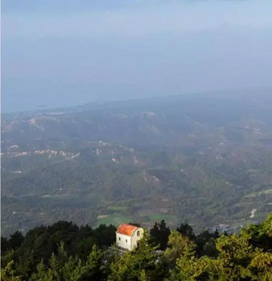 سوییت, Elafos