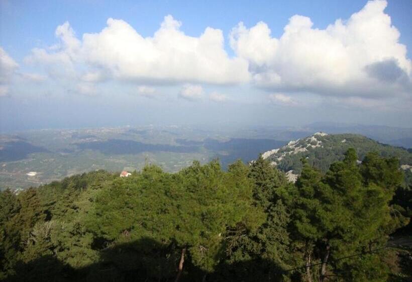 חדר סופריור, Elafos