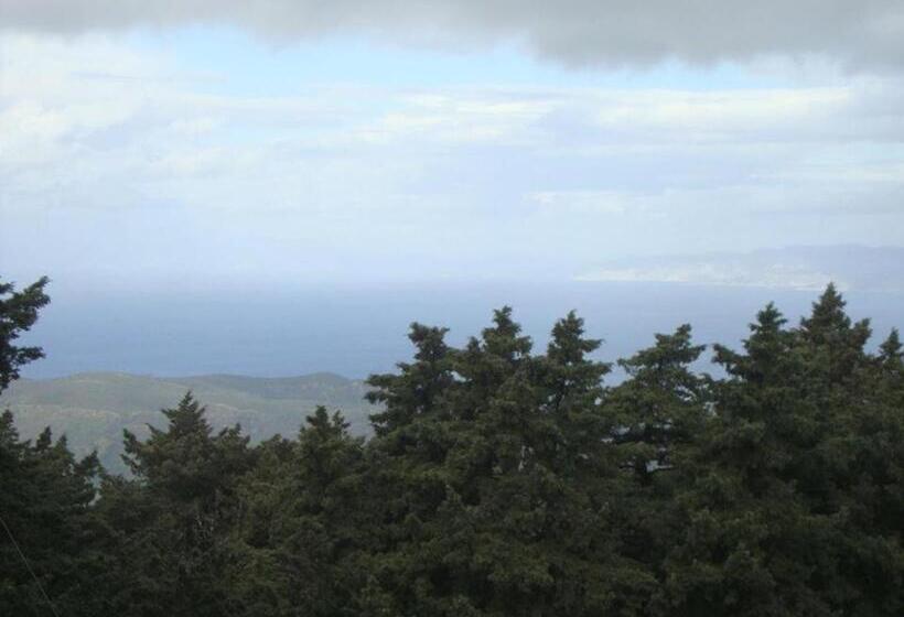 חדר סופריור, Elafos