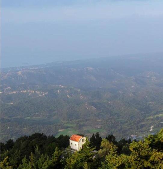 חדר סופריור, Elafos