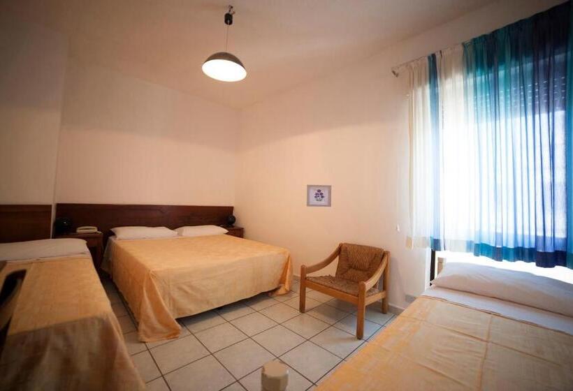 四人标准间, Nettuno