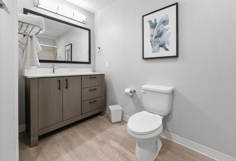 إستوديو قياسى, Waterwalk Extended Stay By Wyndham Atlanta Perimeter