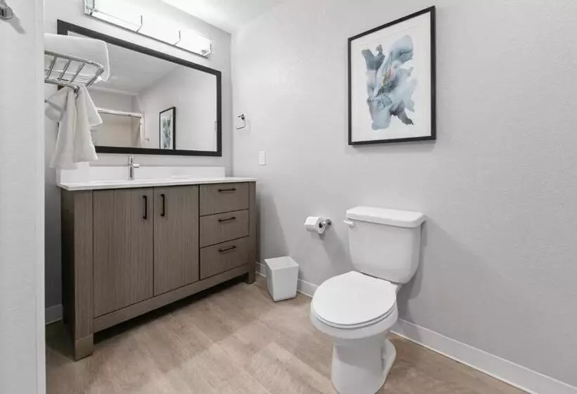 スタンダードスタジオ, Waterwalk Extended Stay By Wyndham Atlanta Perimeter