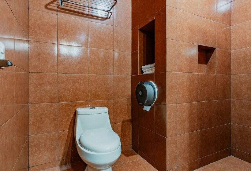 标准间, Siglo 21 Merida