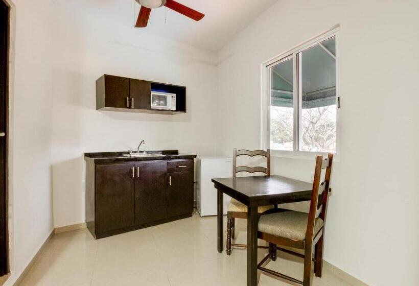 高级大房间, Siglo 21 Merida