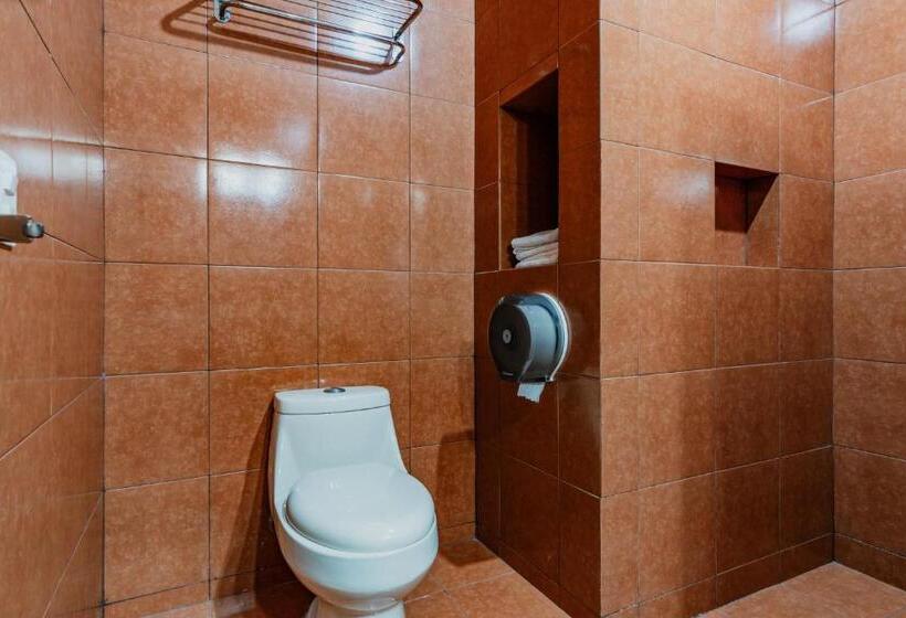 标准间, Siglo 21 Merida