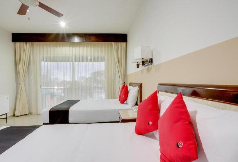 标准间, Siglo 21 Merida