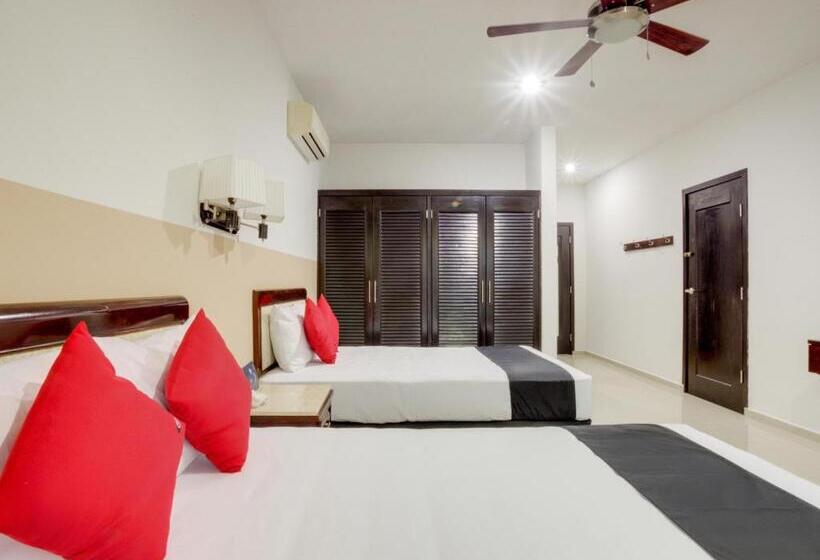 标准间, Siglo 21 Merida