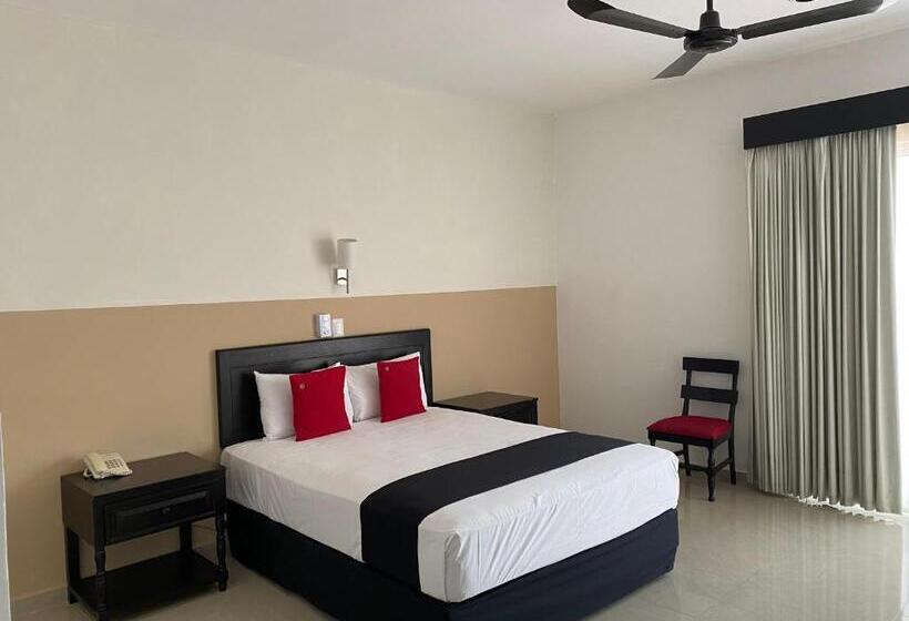 标准工作室, Siglo 21 Merida