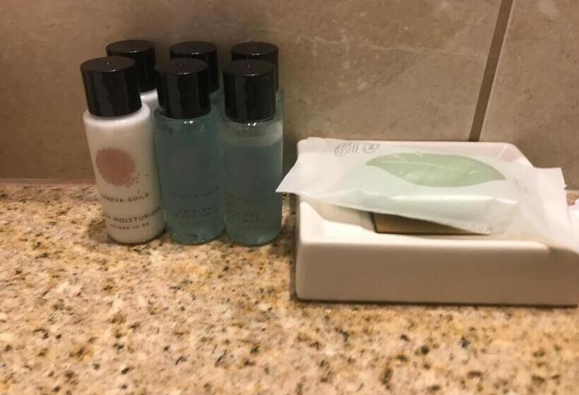 1ベッドルームのデラックスアパートメント, Elena Village